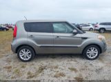 KIA SOUL + photo