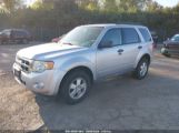 FORD ESCAPE XLT photo