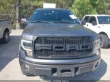 FORD F-150 FX4/HARLEY-DAVIDSON/KING RANCH/LARIAT/PLATINUM/XL/XLT photo