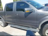 FORD F-150 FX4/HARLEY-DAVIDSON/KING RANCH/LARIAT/PLATINUM/XL/XLT photo