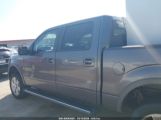 FORD F-150 FX4/HARLEY-DAVIDSON/KING RANCH/LARIAT/PLATINUM/XL/XLT photo