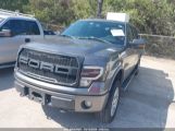 FORD F-150 FX4/HARLEY-DAVIDSON/KING RANCH/LARIAT/PLATINUM/XL/XLT photo