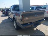 FORD F-150 FX4/HARLEY-DAVIDSON/KING RANCH/LARIAT/PLATINUM/XL/XLT photo