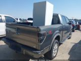 FORD F-150 FX4/HARLEY-DAVIDSON/KING RANCH/LARIAT/PLATINUM/XL/XLT photo