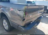 FORD F-150 FX4/HARLEY-DAVIDSON/KING RANCH/LARIAT/PLATINUM/XL/XLT photo