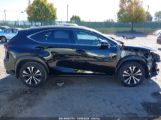 LEXUS NX 300 F SPORT photo