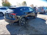 LEXUS NX 300 F SPORT photo