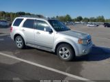 FORD ESCAPE LIMITED photo