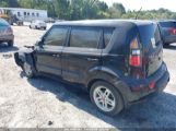 KIA SOUL + photo