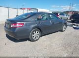 TOYOTA CAMRY LE photo