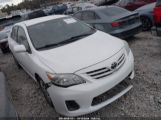 TOYOTA COROLLA LE photo