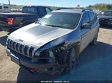 JEEP CHEROKEE TRAILHAWK 1C4PJMBS4GW****** fotografie