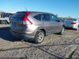 HONDA CR-V EX photo