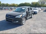 FORD ESCAPE SE снимка