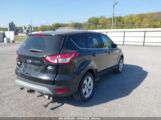 FORD ESCAPE SE снимка