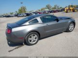 FORD MUSTANG V6/V6 PREMIUM photo