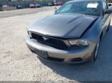 FORD MUSTANG V6/V6 PREMIUM photo