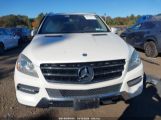 MERCEDES-BENZ ML 350 4MATIC photo