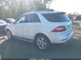 MERCEDES-BENZ ML 350 4MATIC photo