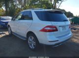 MERCEDES-BENZ ML 350 4MATIC photo