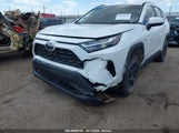 TOYOTA RAV4 XLE 2T3W1RFV9PC249371 снимка