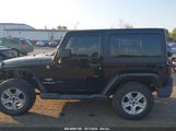 JEEP WRANGLER SAHARA 1J4AA5D13BL****** fotografie