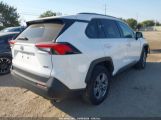 TOYOTA RAV4 XLE photo