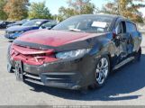 HONDA CIVIC LX 19XFC2F50HE****** fotografie