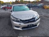 HONDA ACCORD LX photo