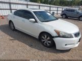 HONDA ACCORD 3.5 EX-L снимка