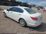 HONDA ACCORD 3.5 EX-L снимка