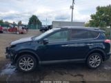 TOYOTA RAV4 LIMITED/SE/PLATINUM photo