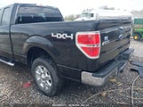 FORD F-150 XLT 1FTEX1EM9DK****** снимка