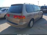 HONDA ODYSSEY EX-L photo