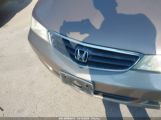 HONDA ODYSSEY EX-L photo