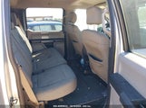 FORD F-150 XLT 1FTEW1E83FF****** fotografie