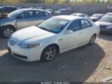 ACURA TL photo