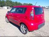 KIA SOUL + photo