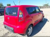 KIA SOUL + photo