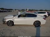 HONDA ACCORD EX-L снимка