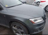 AUDI Q5 3.0 TDI PREMIUM PLUS photo