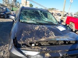 TOYOTA RAV4 XLE 2T3P1RFV8PW****** снимка
