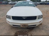 Ford Mustang V6/V6 Premium 1ZVHT80N695139857 fotografie