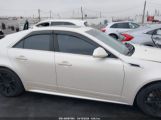 CADILLAC CTS PERFORMANCE снимка