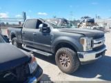 FORD F-250 XLT photo