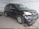 HONDA CR-V SE photo