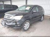 HONDA CR-V SE photo