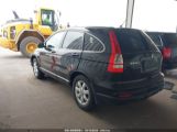 HONDA CR-V SE photo