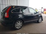 HONDA CR-V SE photo