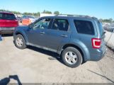 FORD ESCAPE XLT photo